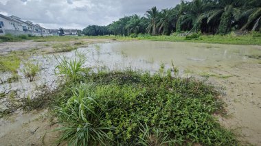 the residential vicinity with an outdoor huge puddle and a gloomy weather. clipart