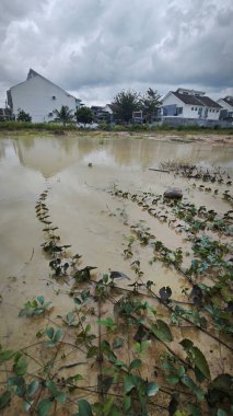 Açık havası, büyük göleti ve kasvetli havası olan bir yerleşim yeri..