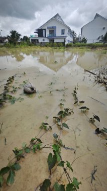 Açık havası, büyük göleti ve kasvetli havası olan bir yerleşim yeri..