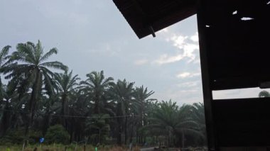 Çiftlikteki harap olmuş barakanın çevresel görüntüleri..