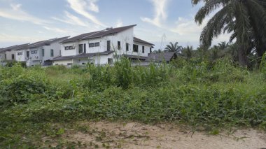 Yerleşim yerinin yakınındaki manzara manzarası. Açık havada yetişen çalılar var.