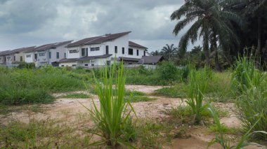 Yerleşim yerinin yakınındaki manzara manzarası. Açık havada yetişen çalılar var.