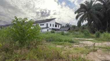 Yerleşim yerinin yakınındaki manzara manzarası. Açık havada yetişen çalılar var.