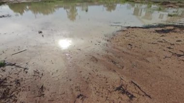 Yerleşim alanının dışında büyük bir su birikintisi ve fazla gelişmiş bitki örtüsü olan bir arazi..  