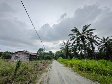 Tarlaya giden yol boyunca bulutlu gökyüzü 