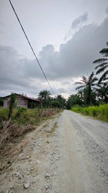 Tarlaya giden yol boyunca bulutlu gökyüzü 