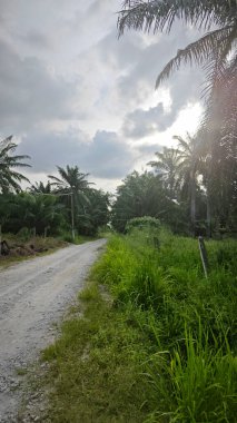 Tarlaya giden yol boyunca bulutlu gökyüzü 