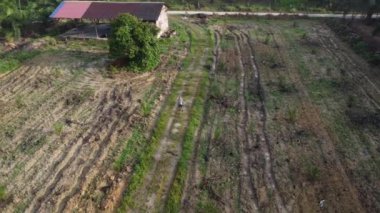 Terk edilmiş ahşap arazinin etrafındaki terk edilmiş ahşap barakalarda uçan bir erkek modelin hava görüntüleri..