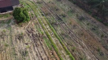 Terk edilmiş ahşap arazinin etrafındaki terk edilmiş ahşap barakalarda uçan bir erkek modelin hava görüntüleri..
