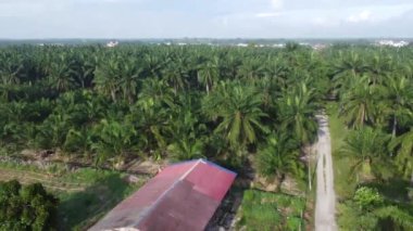 Terk edilmiş bir ahşap barakanın boş tarım arazisindeki hava manzarası..   