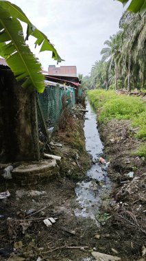 Palmiye yağı tarlalarının yüzey drenajı.