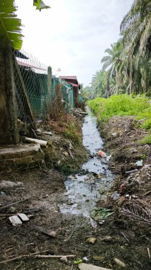 Palmiye yağı tarlalarının yüzey drenajı.