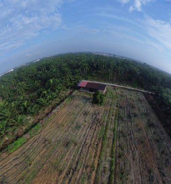boş bir tarım arazisinin havadan panoramik görüntüsü.       