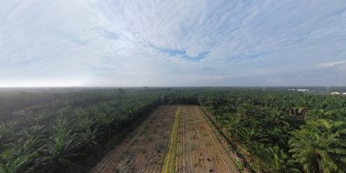 boş bir tarım arazisinin havadan panoramik görüntüsü.       