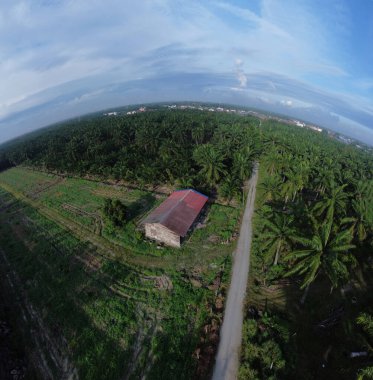 boş bir tarım arazisinin havadan panoramik görüntüsü.       