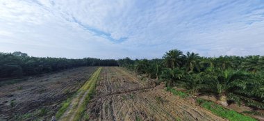 boş bir tarım arazisinin havadan panoramik görüntüsü.       