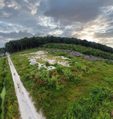 Konut alanının çevresindeki kırsal yol kırsal alandaki hava panoramik görüntüsü.
