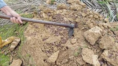 Kazı alanındaki olay yeri yerden yükselen tepe karınca yuvası..