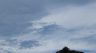 Yukarıya bakarken mavi gökyüzünün üzerinde uçan bir uçak gördüm..