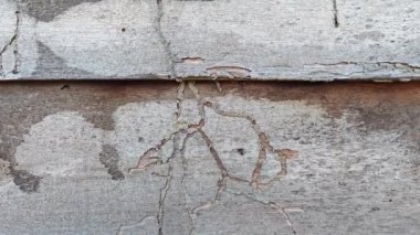 Duvardaki kalasların görüntüsü terk edilmiş eski ahşap ev dokusu..