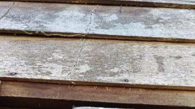 Duvardaki kalasların görüntüsü terk edilmiş eski ahşap ev dokusu..