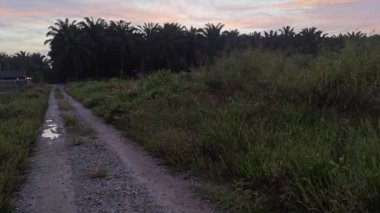 Yeni günün şafağının renkli gökyüzü.  