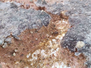 Kireçtaşı tepe alanının toprak dokusu ve deseni etrafında çevre manzarası.