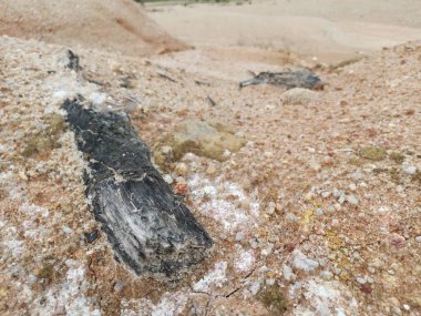 Kireçtaşı tepe alanının toprak dokusu ve deseni etrafında çevre manzarası.