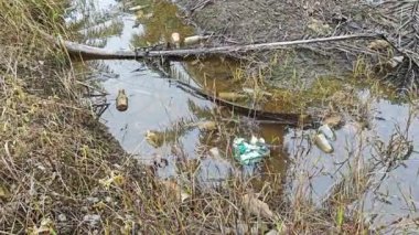 Kurumuş palmiye dalları ve yapraklar kırsal drenaja dökülüyor..