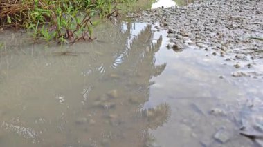 Kırsal toprak yolda sağanak yağış sonrasında durgun su havuzu yansıtıyor.   