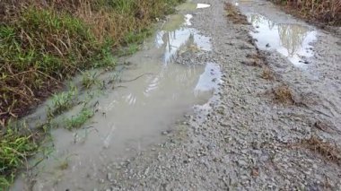 Kırsal toprak yolda sağanak yağış sonrasında durgun su havuzu yansıtıyor.   