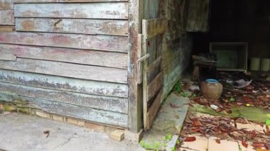 Çiftlikteki terk edilmiş ve harap olmuş bir Asya ahşap evinin görüntüleri..