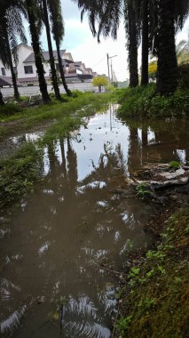 Şiddetli bir yağmurun ardından, yakınlardaki yerleşim yerine bakan palmiye yağı arazisini sel bastı. 