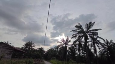 Donuk, karanlık, kasvetli gökyüzüne bakıyorum..        