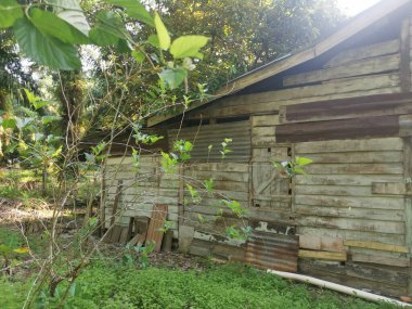 Çiftlikteki terk edilmiş ve harap olmuş eski bir Asya ahşap evi.. 