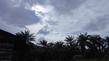 Gökyüzüne bakıyor mavi bulutlu gökyüzüne.   