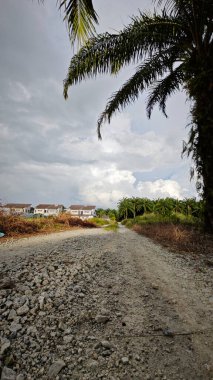 Gökyüzü mavi bulutlu ve ön planda palmiye yağı olan gökyüzüne bakıyor.   