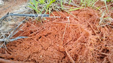 brown or reddish rusty-colored stains on dried puddle soil surface. clipart