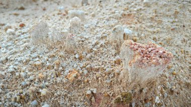 Kireçtaşı tepesinin toprak dokusu ve deseni.     