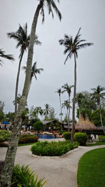 Penang, Malezya. Kasım 2024, 08: Shangri-La Golden Sands Resort 'taki özel yüzme havuzu, Batu Ferringhi, Georgetown. 