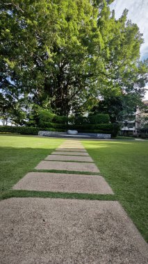 Georgetown,Penang. Kasım 2024, 08: Shangri-La 'nın Rasa Sayang Resort' u Batu Feringgi sahilindeki yağmur ormanlarının manzarası.