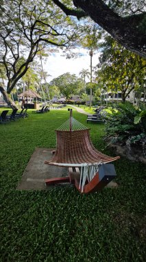 Georgetown,Penang. Kasım 2024, 08: Shangri-La 'nın Rasa Sayang Resort' u Batu Feringgi sahilindeki yağmur ormanlarının manzarası.