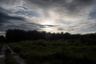 Donuk, karanlık ve kasvetli gökyüzünün yüksek açılı görüntüsü.