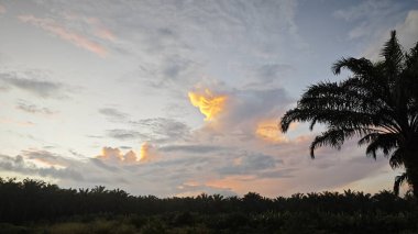 Yeni bir günün şafağının yüksek açılı görüntüsü. 