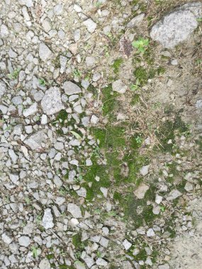 Kırsal çakıl yol dokusunun yüzeyine bakıyorum..