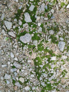 Kırsal çakıl yol dokusunun yüzeyine bakıyorum..