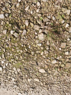 Kırsal çakıl yol dokusunun yüzeyine bakıyorum..