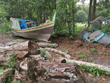 Eski terk edilmiş ve harap olmuş ahşap bir tekne çimenli tarlada uzanıyor..