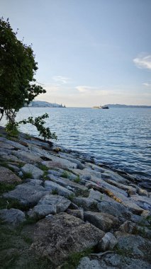 Deniz kenarındaki akşam mavi gökyüzüne bakıyorum koyu yapraklı yapraklı ön planda..
