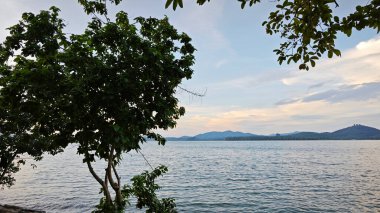 Deniz kenarındaki akşam mavi gökyüzüne bakıyorum koyu yapraklı yapraklı ön planda..